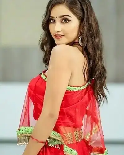 Call Girls Service Pakaur